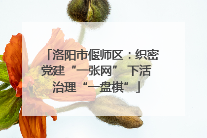 洛阳市偃师区：织密党建“一张网” 下活治理“一盘棋”