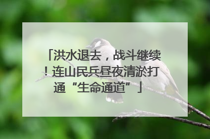 洪水退去，战斗继续！连山民兵昼夜清淤打通“生命通道”