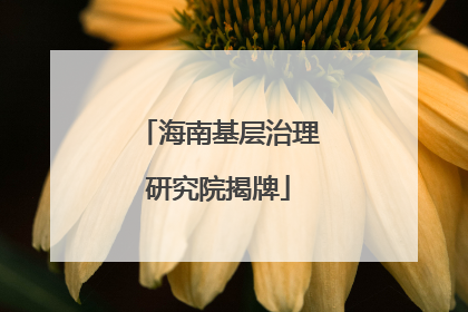 海南基层治理研究院揭牌