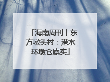 海南周刊丨东方墩头村：港水环墩仓廪实