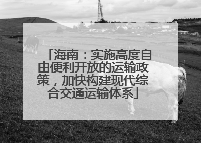 海南：实施高度自由便利开放的运输政策，加快构建现代综合交通运输体系
