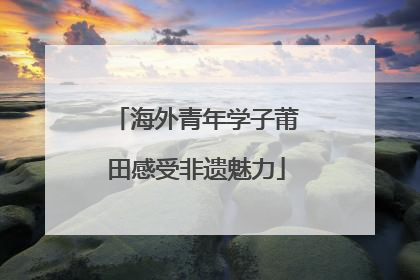海外青年学子莆田感受非遗魅力