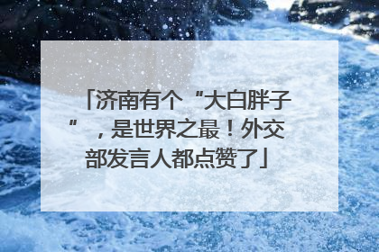 济南有个“大白胖子”，是世界之最！外交部发言人都点赞了