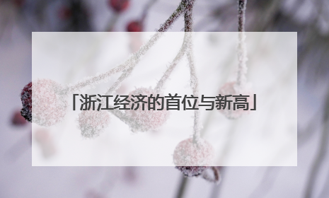 浙江经济的首位与新高
