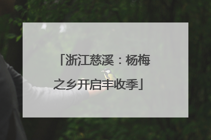 浙江慈溪：杨梅之乡开启丰收季