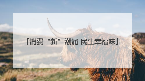 消费“新”潮涌 民生幸福味