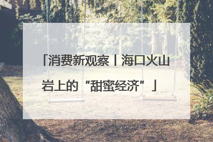 消费新观察丨海口火山岩上的“甜蜜经济”