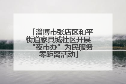 淄博市张店区和平街道家具城社区开展“夜市办”为民服务零距离活动