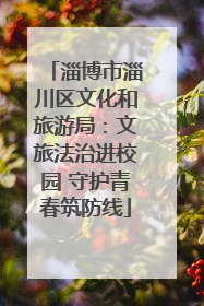 淄博市淄川区文化和旅游局：文旅法治进校园 守护青春筑防线
