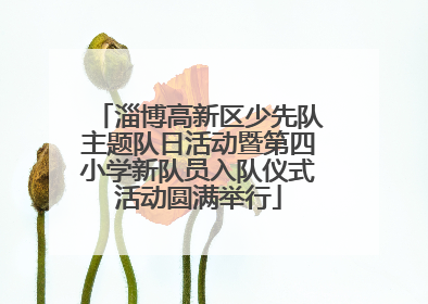 淄博高新区少先队主题队日活动暨第四小学新队员入队仪式活动圆满举行