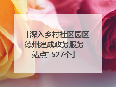 深入乡村社区园区 德州建成政务服务站点1527个