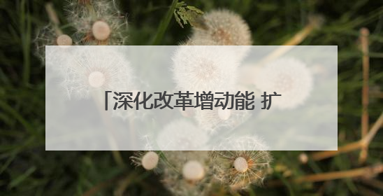 深化改革增动能 扩大开放促发展 第二十届西博会在蓉开幕