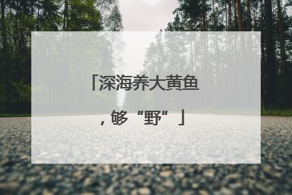 深海养大黄鱼，够“野”