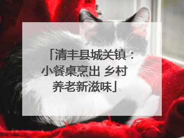 清丰县城关镇：小餐桌烹出 乡村养老新滋味