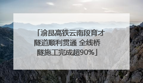 渝昆高铁云南段育才隧道顺利贯通 全线桥隧施工完成超90%
