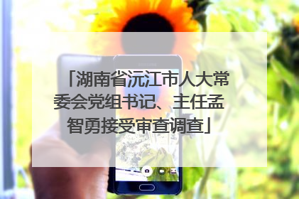 湖南省沅江市人大常委会党组书记、主任孟智勇接受审查调查