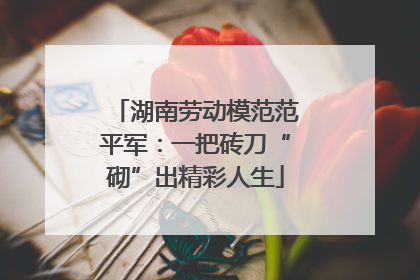 湖南劳动模范范平军：一把砖刀“砌”出精彩人生