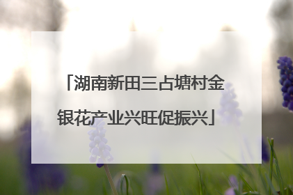 湖南新田三占塘村金银花产业兴旺促振兴