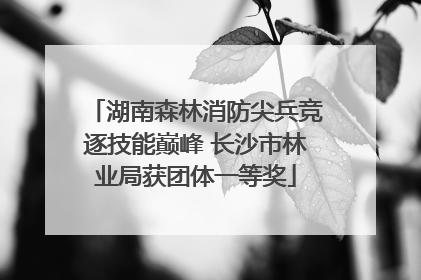 湖南森林消防尖兵竞逐技能巅峰 长沙市林业局获团体一等奖