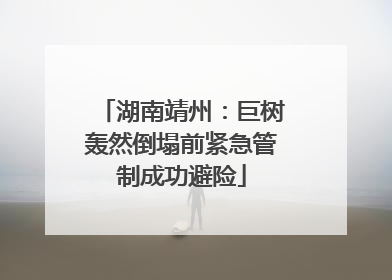湖南靖州：巨树轰然倒塌前紧急管制成功避险