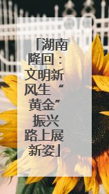 湖南隆回：文明新风生“黄金” 振兴路上展新姿