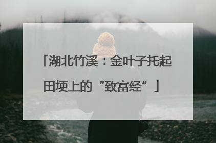 湖北竹溪：金叶子托起田埂上的“致富经”
