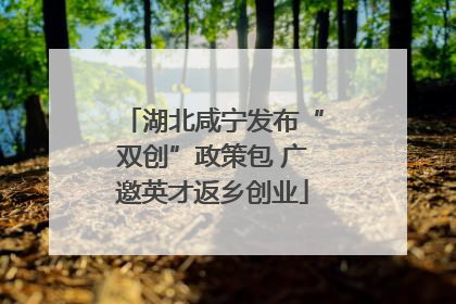 湖北咸宁发布“双创”政策包 广邀英才返乡创业