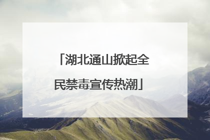 湖北通山掀起全民禁毒宣传热潮