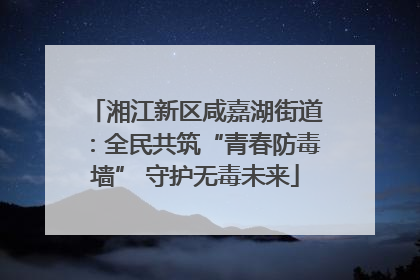 湘江新区咸嘉湖街道：全民共筑“青春防毒墙” 守护无毒未来