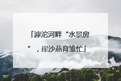 滹沱河畔“水景房”，崖沙燕育雏忙