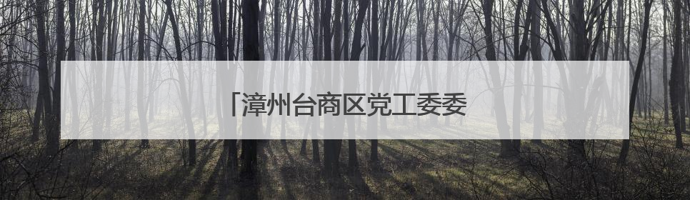漳州台商区党工委委员会（扩大）会召开