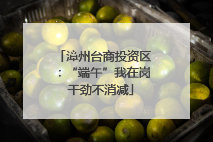 漳州台商投资区：“端午”我在岗 干劲不消减