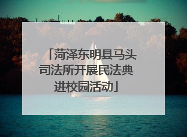 菏泽东明县马头司法所开展民法典进校园活动