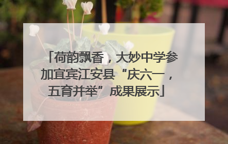 荷韵飘香，大妙中学参加宜宾江安县“庆六一，五育并举”成果展示