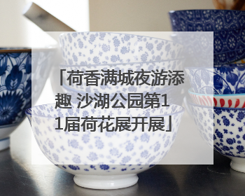 荷香满城夜游添趣 沙湖公园第11届荷花展开展