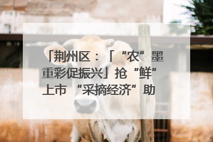 荆州区：「“农”墨重彩促振兴」抢“鲜”上市 “采摘经济”助农“甜蜜增收”