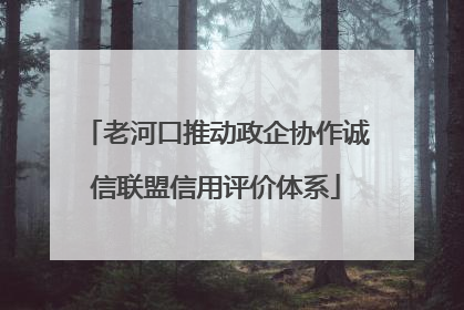 老河口推动政企协作诚信联盟信用评价体系