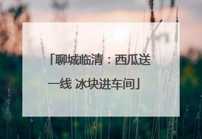 聊城临清：西瓜送一线 冰块进车间