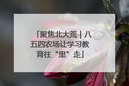 聚焦北大荒｜八五四农场让学习教育往“里”走
