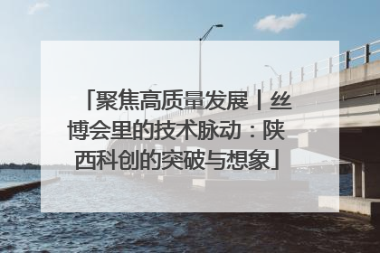 聚焦高质量发展丨丝博会里的技术脉动：陕西科创的突破与想象