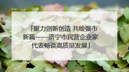 聚力创新创造 共绘强市新篇——济宁市民营企业家代表畅谈高质量发展