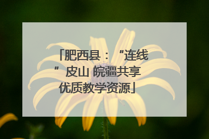 肥西县：“连线”皮山 皖疆共享优质教学资源