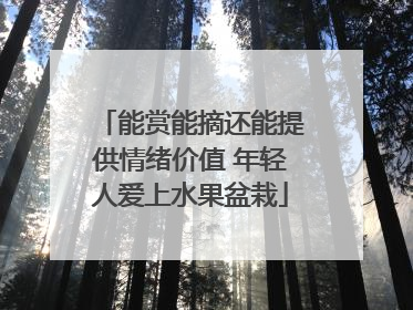 能赏能摘还能提供情绪价值 年轻人爱上水果盆栽