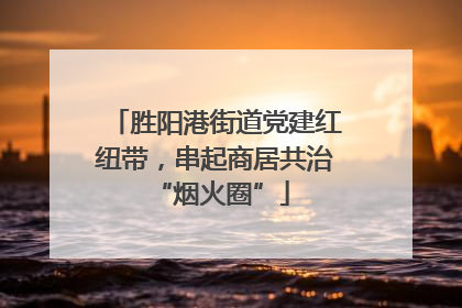 胜阳港街道党建红纽带，串起商居共治 “烟火圈”