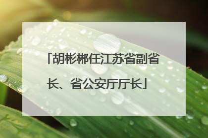 胡彬郴任江苏省副省长、省公安厅厅长