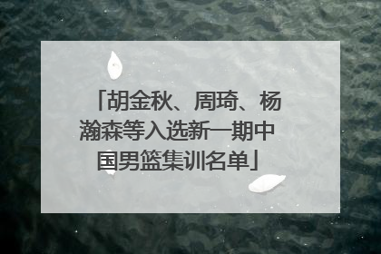 胡金秋、周琦、杨瀚森等入选新一期中国男篮集训名单