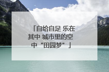 自给自足 乐在其中 城市里的空中“田园梦”