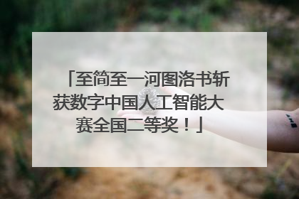 至简至一河图洛书斩获数字中国人工智能大赛全国二等奖！