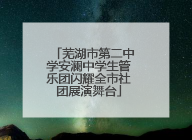 芜湖市第二中学安澜中学生管乐团闪耀全市社团展演舞台
