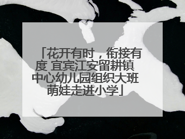 花开有时，衔接有度 宜宾江安留耕镇中心幼儿园组织大班萌娃走进小学